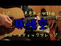 #11 孫悟空/スピッツ【アコギで「色色衣」全収録曲を弾いてみた】