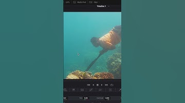 Remove dust spot on your videos #davinciresolve