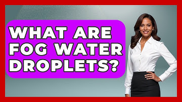 What Are Fog Water Droplets? - Weather Watchdog