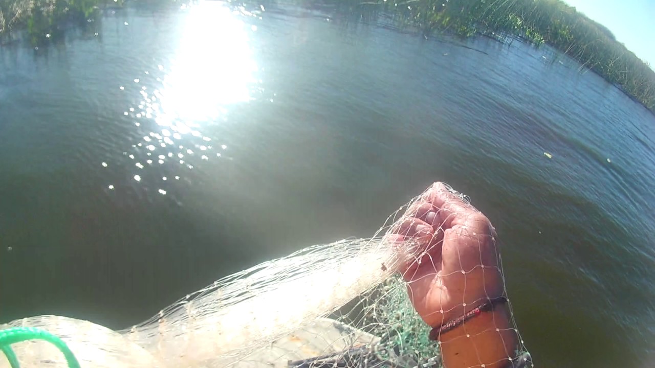 Lake trafford fishing 4/4 - YouTube
