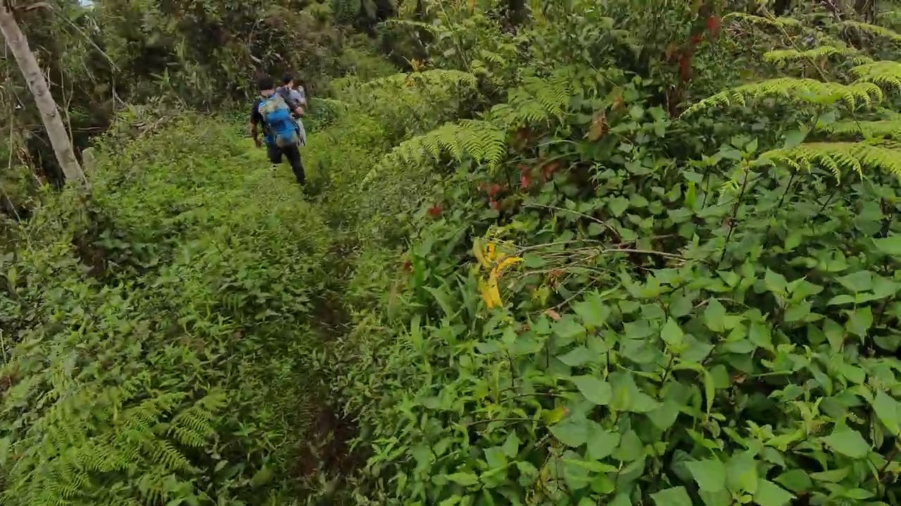 VID 20260222 124644 00 094