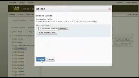 Updating old flash players for video files distributed from D2L
