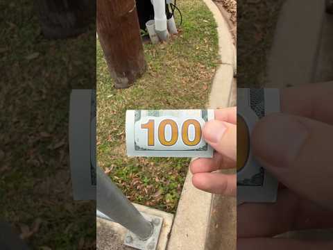 100 دولار في انتظار الفائز