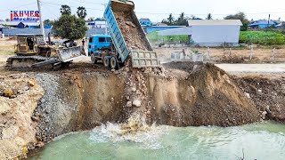 EP17 New Update! Excellent skill Dozer & Dump truck Dumping soil into water Resize Road on canal