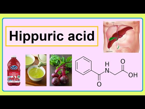 Video: Hyppuric acid tsim li cas?