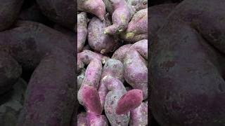 Sweet Potato | Baby Sweet Potato| #hoorainmukhtar #shortsfeed #shortvideo #1millionviews #shorts