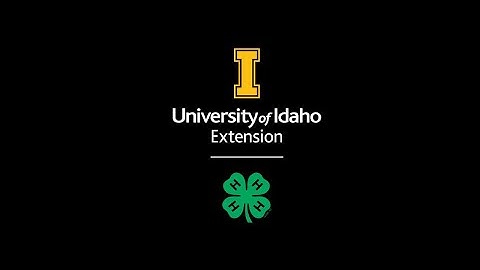 Paper Mâché Sculpture Part 2