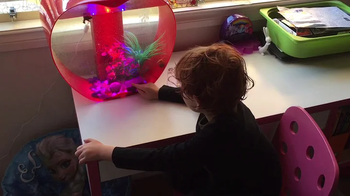 James Talbot the worlds cutest fish keeper!