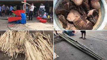 Máy băm gỗ, băm cành cây, vỏ dừa, xơ dừa, bã mía siêu tốc Bình Minh