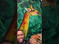@alex_artistepeintre Does the giraffe have an only giraffes 😱