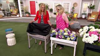 Vegtrug Cedar Wood Wallhugger Raised Garden Bed Planter on QVC