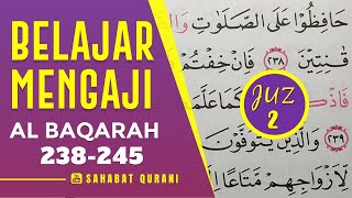 TADARUS ALQURAN MERDU: Belajar Membaca Al Quran Juz 2 | Surah Al Baqarah Ayat 238-245 Murottal Juz 2