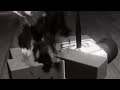 Forsaken 1x4 Timeless Skin Sound Effects Forsaken 1x4 Timeless Skin Sound Effects