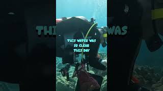 LOOK AT THIS NET!!! 🤯🤙🤙 #hawaii #oceancleanup #scubadiving #scubalife