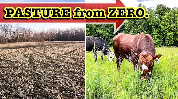(STEP-BY-STEP) BUILDING PASTURE FROM SCRATCH | SOIL COWS Cover Crops TOPSOIL Grazing Cattle ranching