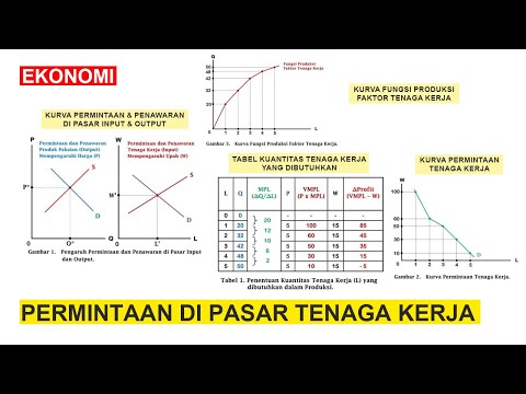 Teori Permintaan di Pasar Tenaga Kerja (Demand in Labour Market) - EKONOMI