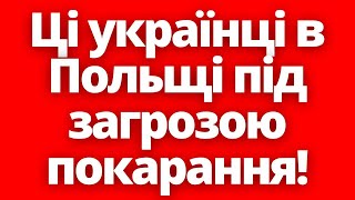 Перевір Себе! Багато Українців В Польщі Під Загрозою Покарання! Новини Польщі