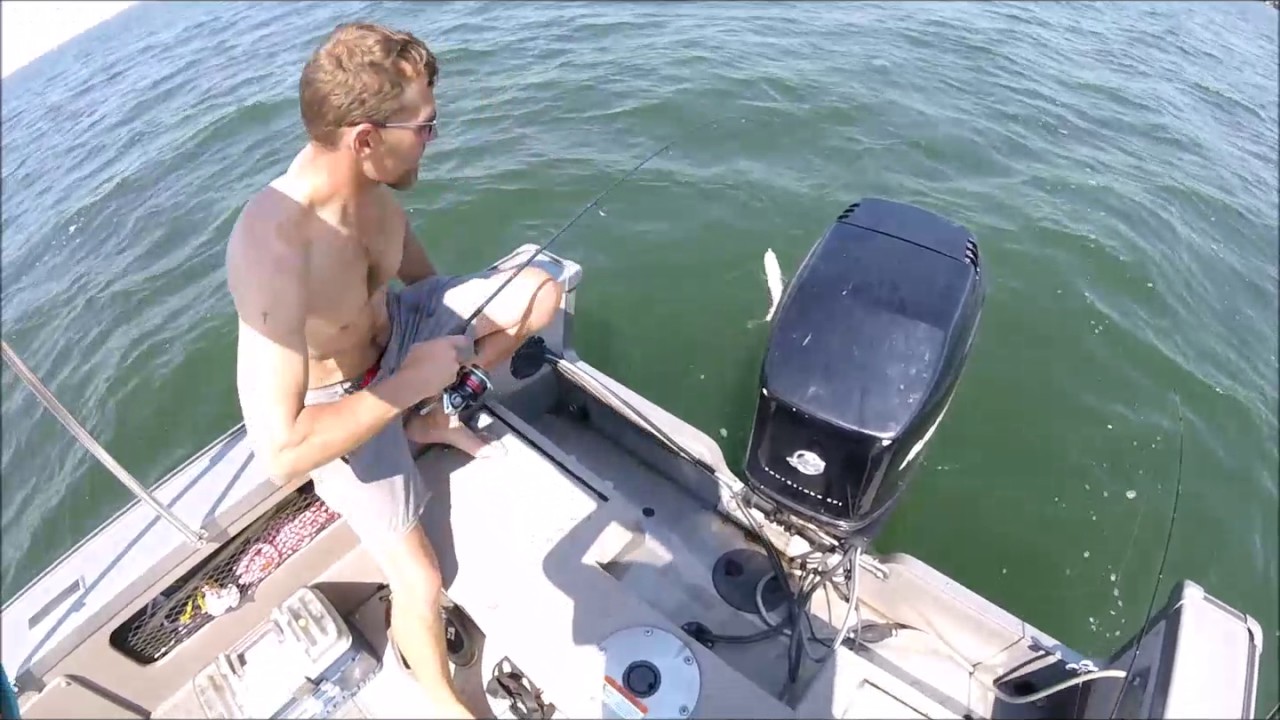 pigeon lake fishing AB YouTube