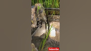 Rice transplanter machine working ! Modern Agriculture