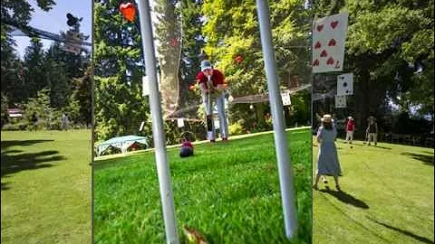 2014 Mallets in Wonderland