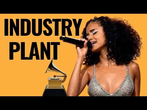 IS TYLA AN INDUSTRY PLANT?