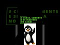Comandos básicos no Linux pelo terminal | Zorin OS e aquele terminal de hacker
