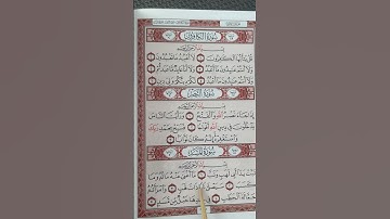 Surah AL-Masad # سورة المسد