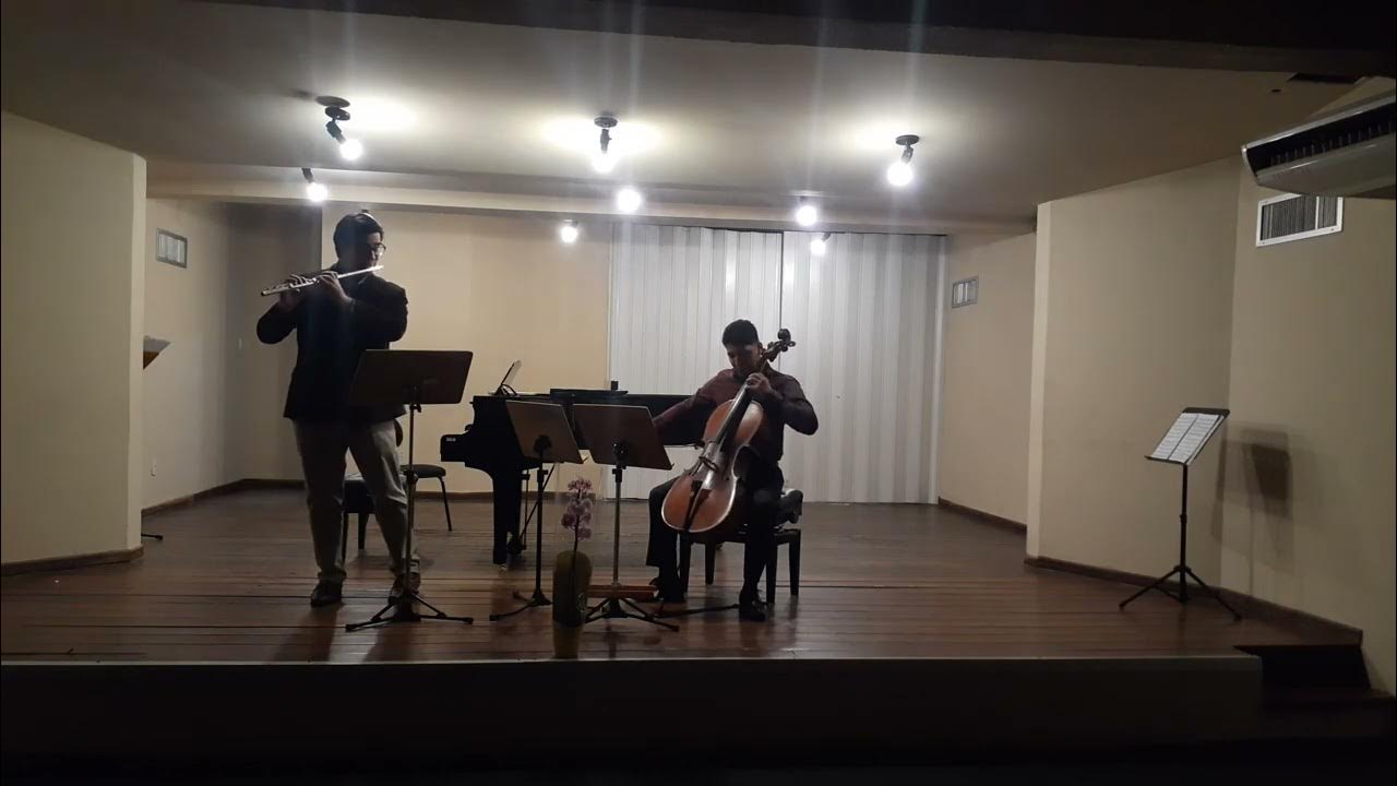 Villa Lobos Jet Whistle Assobio a Jato flute & Cello YouTube