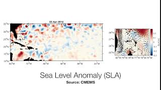Sea Level Anomaly