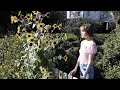 Botanical Garden お散歩