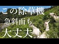 【神モグモグ】耕作放棄地を一瞬で制圧する!?ヤギが凄すぎる!草刈り機より頼れる働き者すぎるヤギのモグモグ劇場