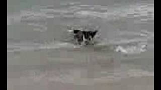 Marcs Dreckige Lache