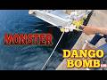 Japanese DANGO BOMB Fishing at a Local Port! Catching MONSTERS so easily! (ASMR)