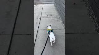 Day in my life as a plush toy startup founder 🤪