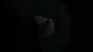 ,Øººø,Sick Of Love ,Øººø, Out Tomorrow