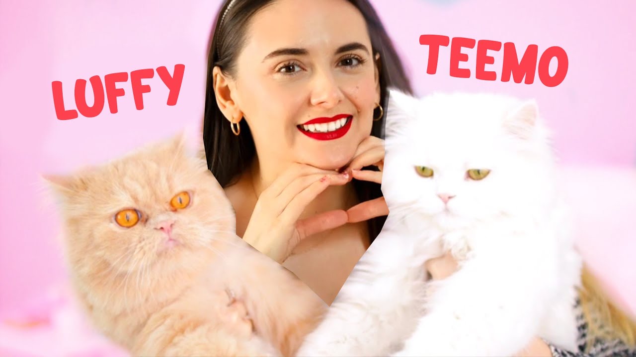 Reactionez la Luffy si Teemo !