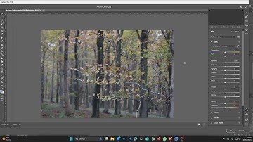 Using CUBE LUTs in Lightroom