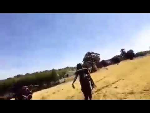 WBOn Haala Kanaan Waraana Mootummaa Irratti Injifannoo Labsaa Jira Itti Dhihaadhaa