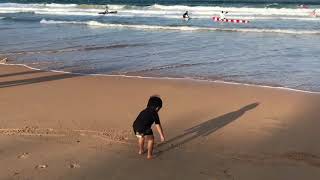 Playground Bang Bing seri Jalan-Jalan ke Sydney. Main ke pantai Manly dan Bondi