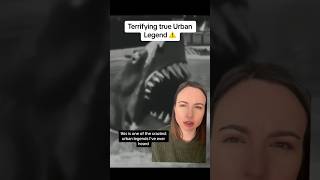 This urban legend ended up being TRUE 😳