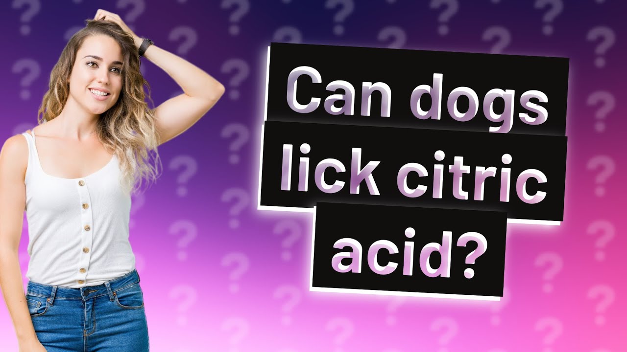 Can dogs lick citric acid? - YouTube