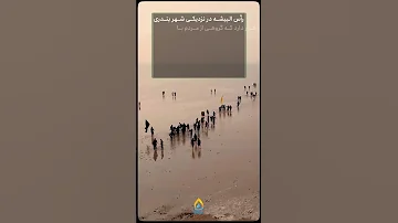 دورترین مسیر پیاده روی در ربعین 