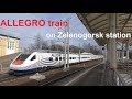 Allegro train , Siemens Desiro Rus  on Zelenogorsk station. Аллегро и Ласточка в Зеленогорске