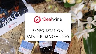 Virtual tasting | Masterclass with Sylvain Pataille screenshot 3