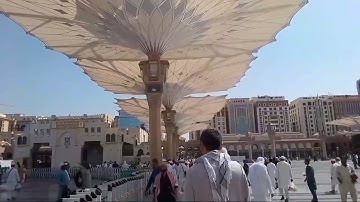 سورة الجاثيه احمد بن طالب بن حميد نارده المدينة منوره بصوت أجمل رائعه القرأن الكريم