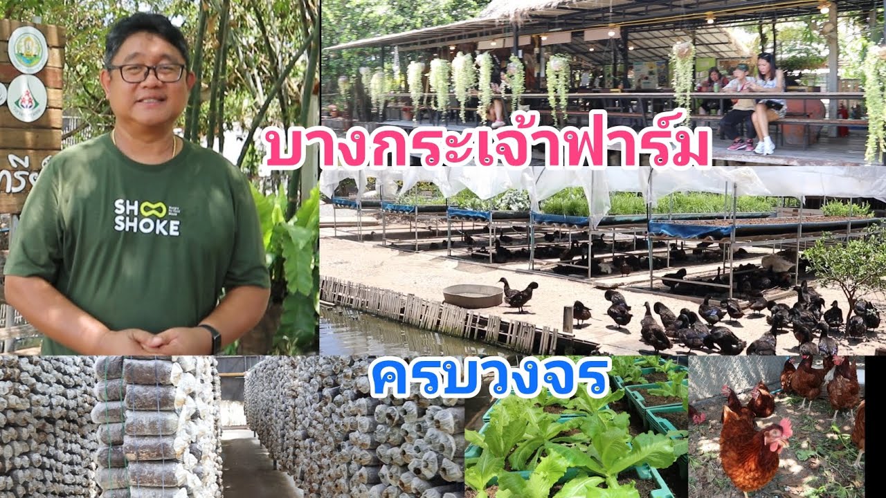 ฟาร์มที่สร้างระบบนิเวศพึ่งพาได้ครบวงจรอย่างลงตัวกินเที่ยวเรียนรู้ ที่บางกระเจ้าฟาร์ม