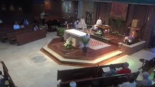 Sunday Mass Livestream