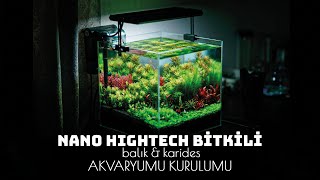Nano Bitkili Balık Ve Karides Akvaryum Kurulumu Adım Adım Tüm High-Tech Aşamaları 4K Sinematik