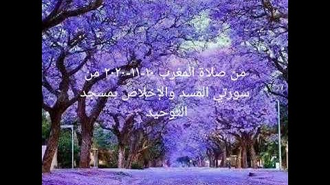 من صلاة المغرب ١٠-١١-٢٠٢٠ من سورتي المسد والإخلاص بمسجد التوحيد للقارئ #محمد_حسن_شلبي#