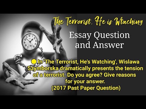 the terrorist he's watching essay type questions